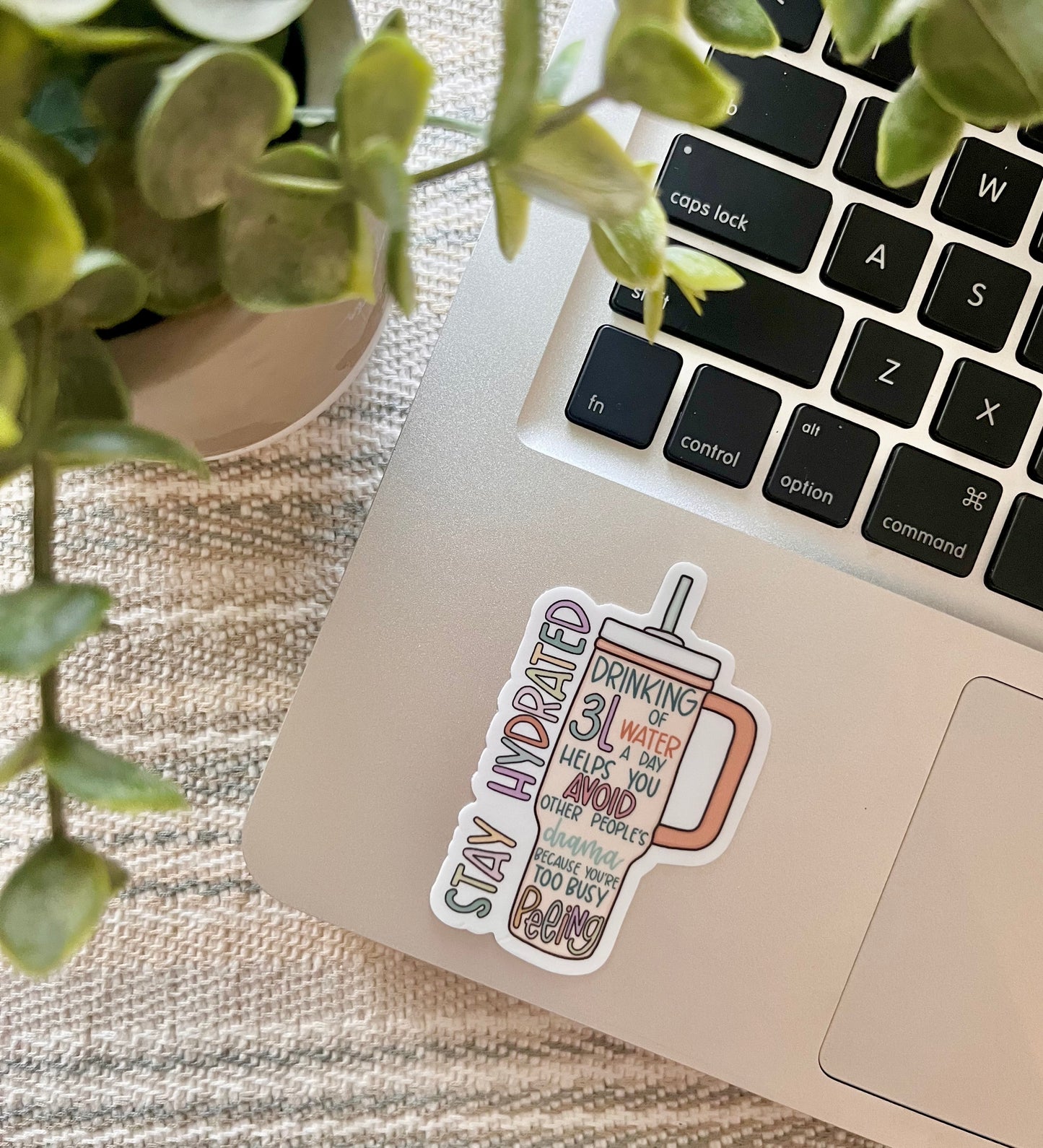 Stay Hydrated Sticker