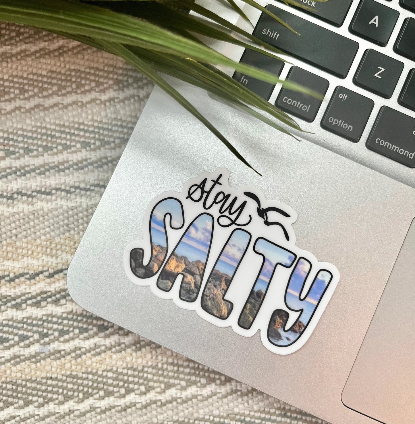 Stay Salty Sticker